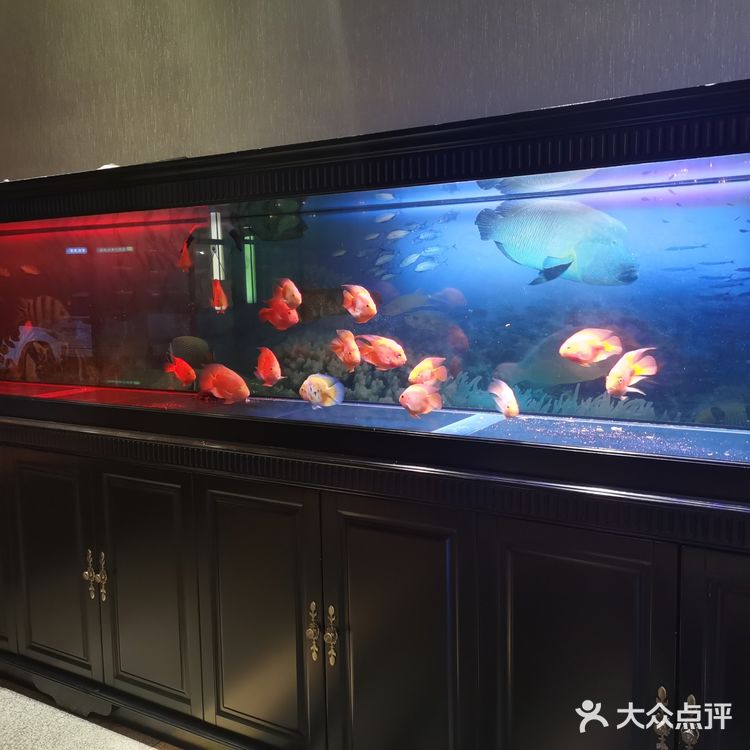 又是一家宝藏餐厅