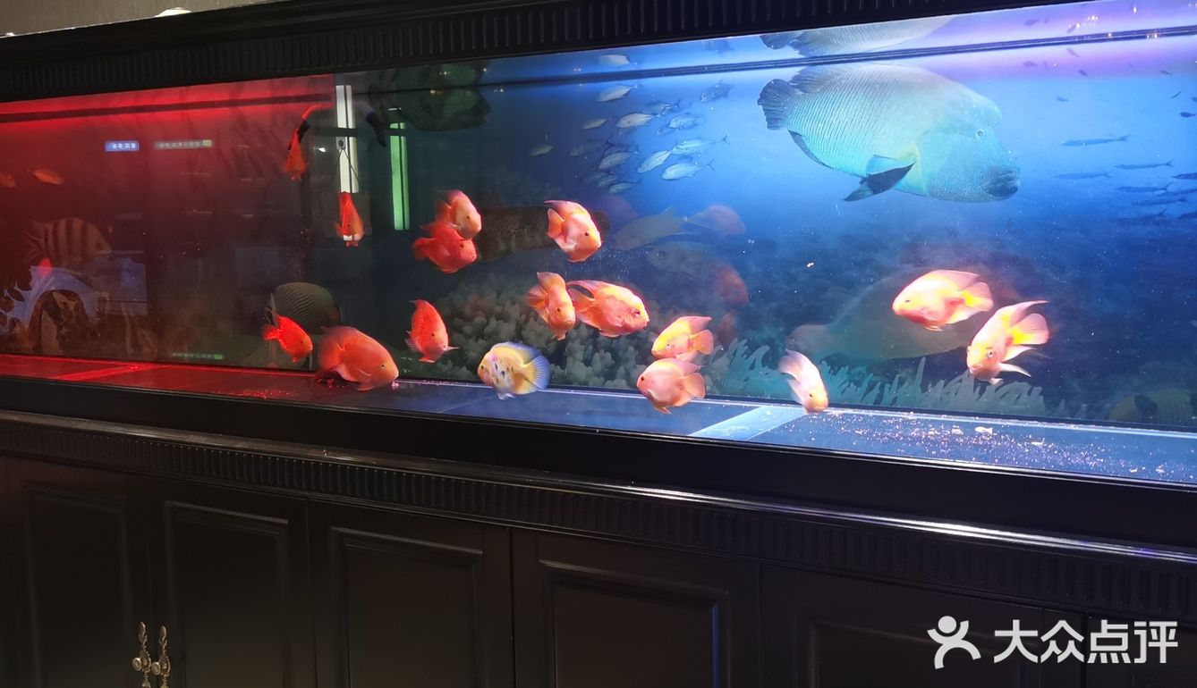 又是一家宝藏餐厅