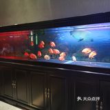 又是一家宝藏餐厅