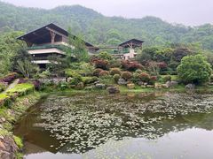 -桃花岭景区