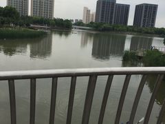 -南翔镇银翔湖公园