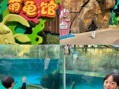 -海合安成都极地海洋公园