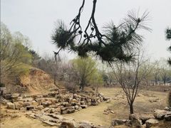 -莫子山公园