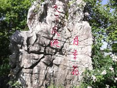 -鹅湖玫瑰文化园