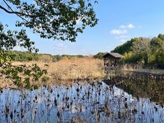 -同里国家湿地公园