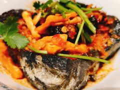 -鑫源碟串串香(后卫寨店)