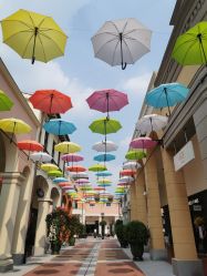 -奇幻丛林(佛罗伦萨小镇店)