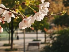 -钱江新城