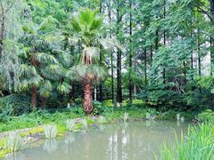 -苏州河梦清园环保主题公园