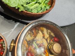 -蘑界·野生菌火锅(深业上城店)