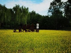 -北坞公园