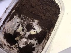-7cake榴莲千层蛋糕(松江店)
