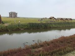 -红海滩国家风景廊道