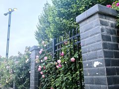 -首都医科大学附属北京天坛医院