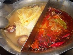 台式麻辣花胶鸡鸳鸯锅-湊湊火锅·茶憩(世博大道店)