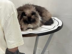 -悠尼宠物·独立低压伊珊娜洗护·美容·寄养(兰谷路店)