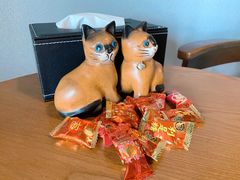 -梵猫·新养生(湛江鼎盛店)