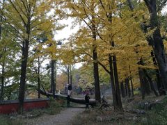 -阳台山自然风景区