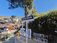 -塔川景区