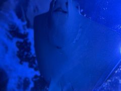 -江和美海洋公园