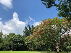 -中国科学院西双版纳热带植物园