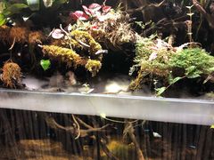景观位-玖壹咖啡(临河街店)