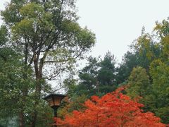 -韶山毛泽东同志故居