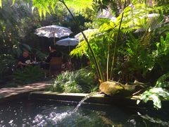 -Fern Forest Cafe
