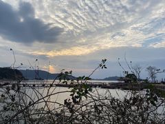 -东钱湖旅游度假区