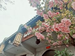 -成都驻京办餐厅(蜀都宾馆店)