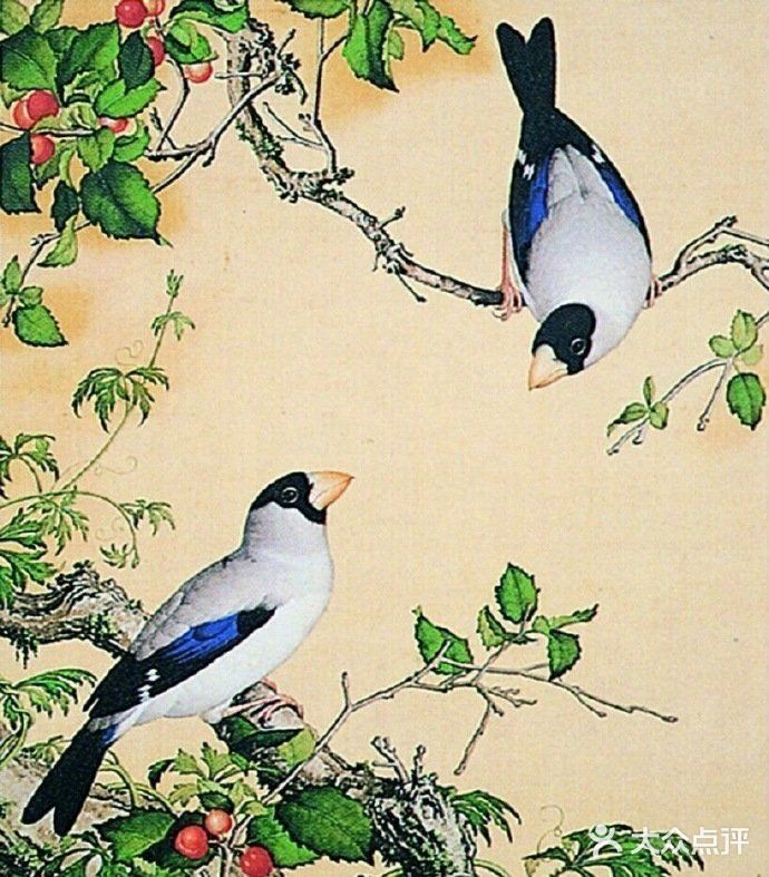 栩栩如生的花鸟图，简直是太漂亮了❗❗