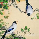 栩栩如生的花鸟图，简直是太漂亮了❗❗