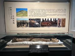 -巴音郭楞蒙古自治州博物馆