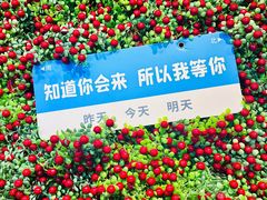 -南锣鼓巷