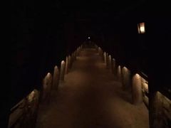 -疏芬山金矿