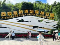 -西双版纳原始森林公园