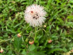 -南国桃园旅游度假区