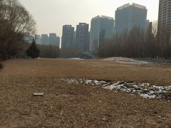 -长白岛森林公园