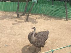 -西霞口神雕山野生动物世界