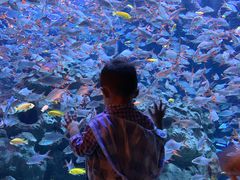 -成都浩海立方海洋公园