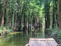 -尚湖风景区