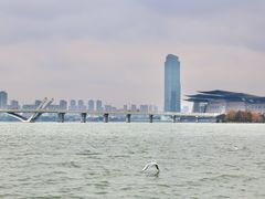 -无锡蠡湖国家湿地公园-蠡园