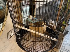 -泽西岛·影院沐足SPA(西大街店)