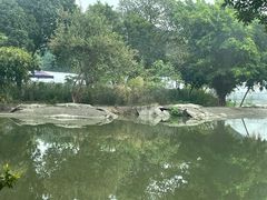 -广州长隆飞鸟乐园
