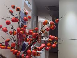 -skin79皮肤管理中心