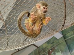 -石家庄市动物园