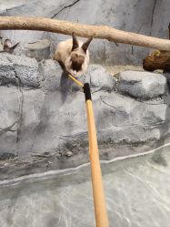 -Zoolung Zoolung动物主题公园(海信广场店)