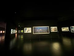 -罗红摄影艺术馆