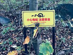 -中旅松花湖滑雪场