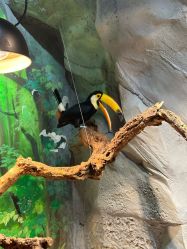 -Zoolung Zoolung动物主题公园(海信广场店)